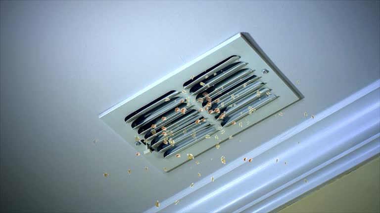 Best Local Air Duct Cleaning Services  in Marshall, MI